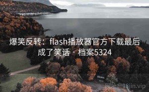 爆笑反转：flash播放器官方下载最后成了笑话 · 档案5324