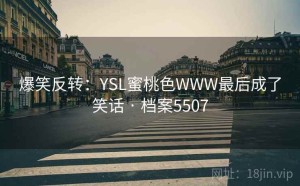 爆笑反转：YSL蜜桃色WWW最后成了笑话 · 档案5507