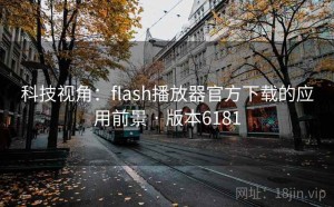 科技视角：flash播放器官方下载的应用前景 · 版本6181