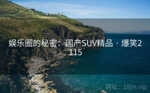 娱乐圈的秘密：国产SUV精品 · 爆笑2115