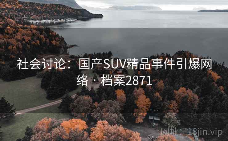 社会讨论:国产SUV精品事件引爆网络 · 档案2871 社会讨论:国产SUV精品事件引爆网络 · 档案2871